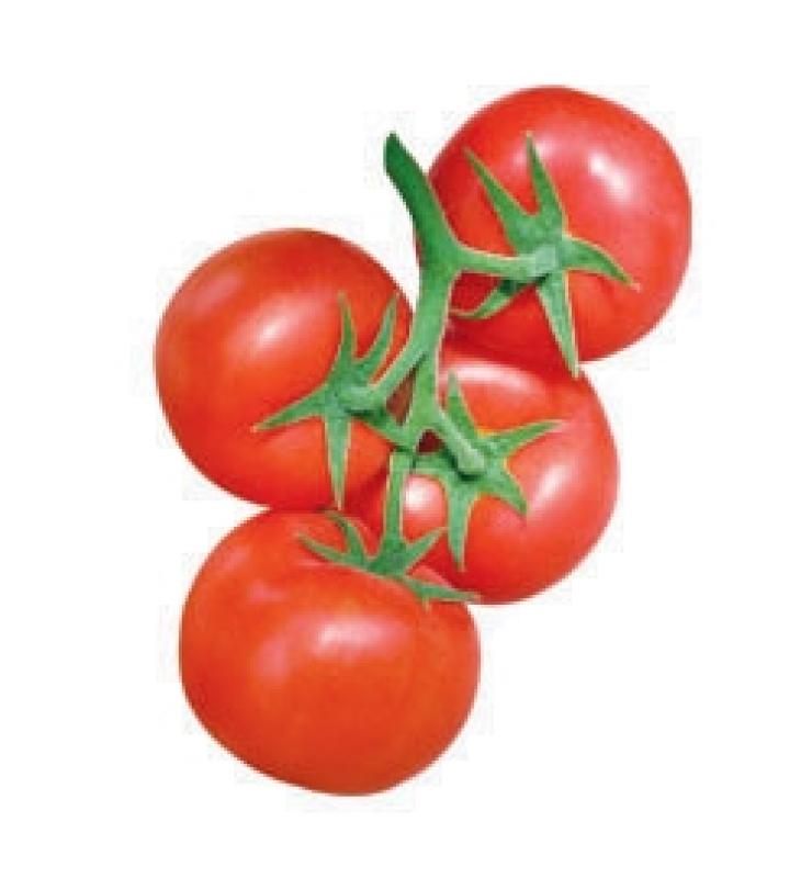 大紅果 凱美瑞二號(hào)