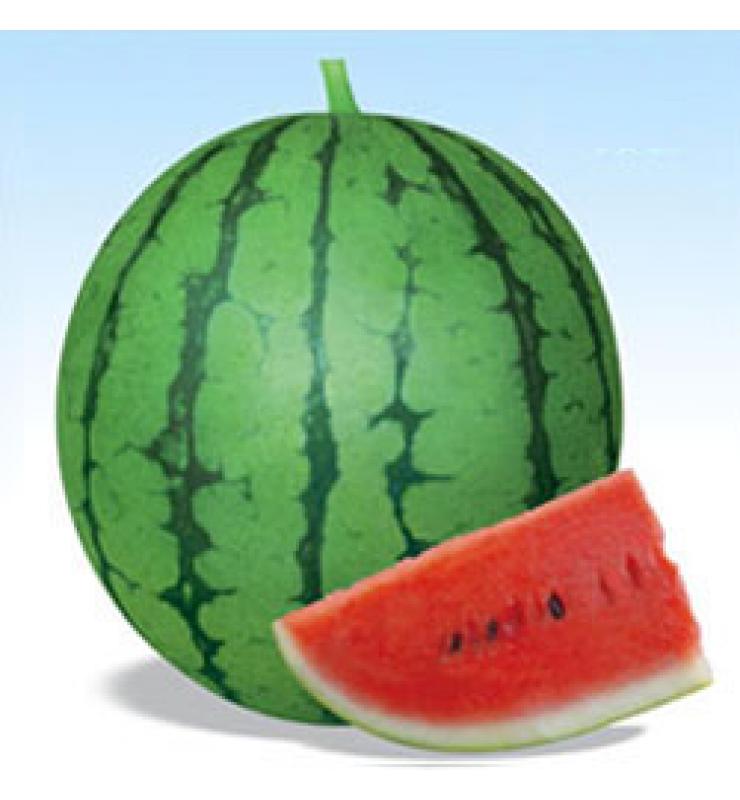 西瓜 國豐